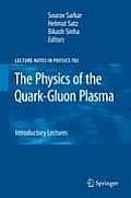 The Physics of the Quark-Gluon Plasma: Introductory Lectures