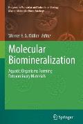 Molecular Biomineralization: Aquatic Organisms Forming Extraordinary Materials