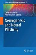 Neurogenesis and Neural Plasticity