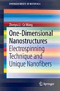 One-Dimensional Nanostructures: Electrospinning Technique and Unique Nanofibers
