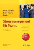 Stressmanagement F?r Teams: In Service, Gewerbe Und Produktion - Ein Ressourcenorientiertes Trainingsmanual