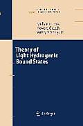 Theory of Light Hydrogenic Bound States