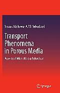 Transport Phenomena in Porous Media: Aspects of Micro/Macro Behaviour