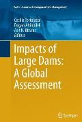 Impacts of Large Dams: A Global Assessment