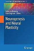 Neurogenesis and Neural Plasticity