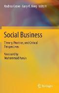 Social Business: Theory, Practice, and Critical Perspectives