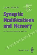 Synaptic Modifications and Memory: An Electrophysiological Analysis