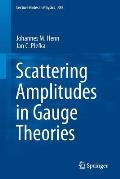 Scattering Amplitudes in Gauge Theories