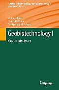 Geobiotechnology I: Metal-Related Issues