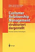 Customer Relationship Management Strukturiert Dargestellt: Prozesse, Systeme, Technologien
