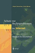 Schutz VOR Rechtsproblemen Im Internet: Handbuch F?r Unternehmen