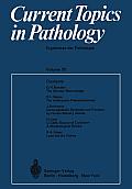 Current Topics in Pathology / Ergebnisse Der Pathologie