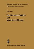 The Burnside Problem and Identities in Groups