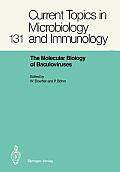 The Molecular Biology of Baculoviruses