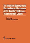 The Interface Structure and Electrochemical Processes at the Boundary Between Two Immiscible Liquids