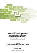 Neural Development and Regeneration: Cellular and Molecular Aspects