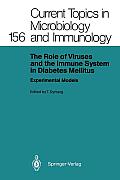 The Role of Viruses and the Immune System in Diabetes Mellitus: Experimental Models