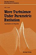 Wave Turbulence Under Parametric Excitation: Applications to Magnets