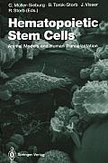 Hematopoietic Stem Cells: Animal Models and Human Transplantation
