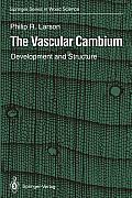 The Vascular Cambium: Development and Structure