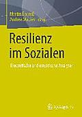 Resilienz Im Sozialen: Theoretische Und Empirische Analysen