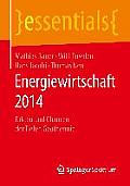 Energiewirtschaft 2014: Fakten Und Chancen Der Tiefen Geothermie