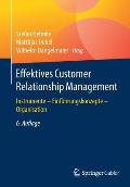 Effektives Customer Relationship Management: Instrumente - Einf?hrungskonzepte - Organisation