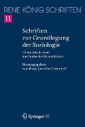 Schriften Zur Grundlegung Der Soziologie: Theoretische Und Methodische Perspektiven