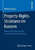 Property-Rights-Strukturen Im Konzern: ?konomische Relevanz Und Systematik Einer Bilanzierung