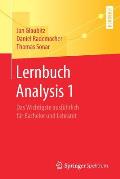 Lernbuch Analysis 1: Das Wichtigste Ausf?hrlich F?r Bachelor Und Lehramt