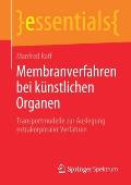 Membranverfahren Bei K?nstlichen Organen: Transportmodelle Zur Auslegung Extrakorporaler Verfahren