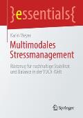 Multimodales Stressmanagement: R?stzeug F?r Nachhaltige Stabilit?t Und Balance in Der Vuca-Welt
