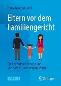 Eltern VOR Dem Familiengericht: Ein Leitfaden Zur Regelung Von Sorge- Und Umgangsrecht