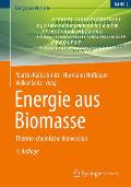 Energie Aus Biomasse: Thermo-Chemische Konversion