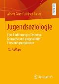 Jugendsoziologie: Eine Einf?hrung in Theorien, Konzepte Und Ausgew?hlte Forschungsergebnisse