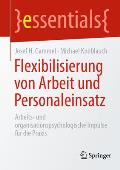 Flexibilisierung Von Arbeit Und Personaleinsatz: Arbeits- Und Organisationspsychologische Impulse F?r Die PRAXIS