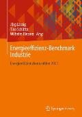 Energieeffizienz-Benchmark Industrie: Energieeffizienzkennzahlen 2021