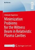 Minimization Problems for the Witness Beam in Relativistic Plasma Cavities