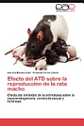Efecto del Atd Sobre La Reproduccion de La Rata Macho
