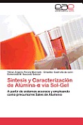 Sintesis y Caracterizacion de Alumina- Via Sol-Gel