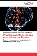 Principales Enfermedades Producidas Por Priones