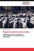 Superovulacion En Ovinos