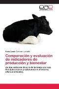 Comparaci?n y evaluaci?n de indicadores de producci?n y bienestar