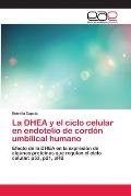 La DHEA y el ciclo celular en endotelio de cord?n umbilical humano