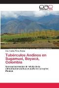 Tub?rculos Andinos en Sugamuxi, Boyac?, Colombia