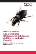 Los Carabidae (Coleoptera) del Macizo del Sueve (Asturias, Espa?a)