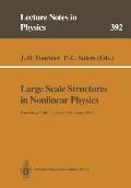 Large Scale Structures in Nonlinear Physics: Proceedings of a Workshop Held in Villefranche-Sur-Mer, France, 13-18 January 1991