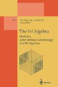 The W3 Algebra: Modules, Semi-Infinite Cohomology and Bv Algebras