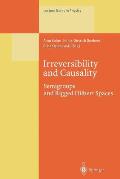 Irreversibility and Causality: Semigroups and Rigged Hilbert Spaces