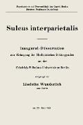 Sulcus interparietalis